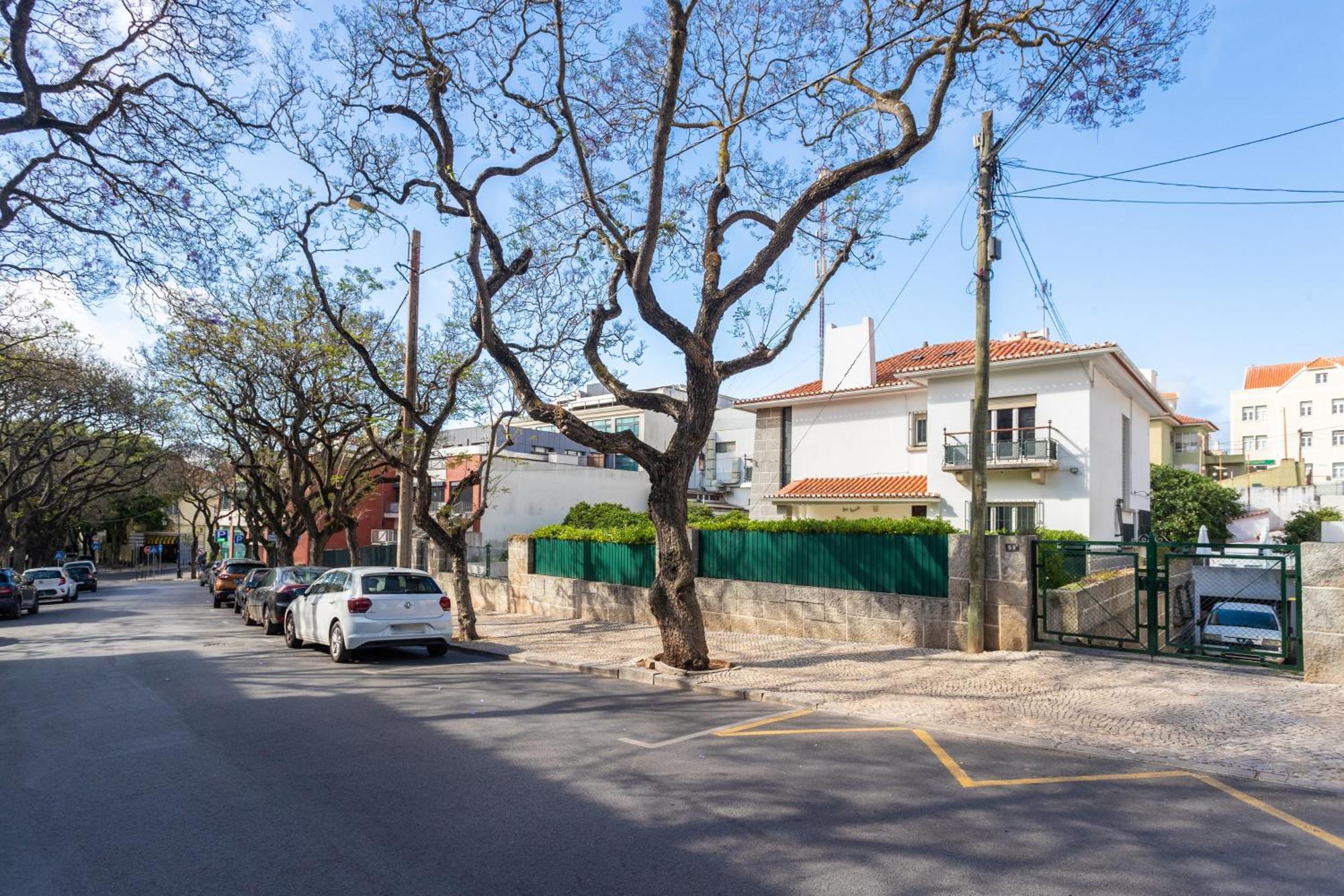 קסקאיס Villa Jacaranda מראה חיצוני תמונה